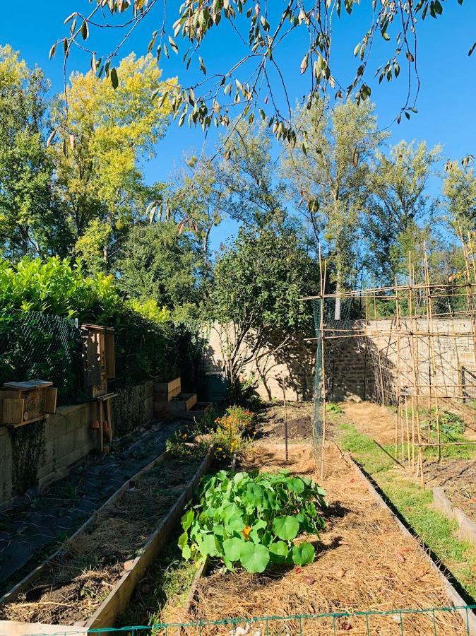 Pool House-L'Hirondelle De Sermizelles- Grand Jardin, Calme Et Nature Aux Portes Du Morvan别墅 外观 照片