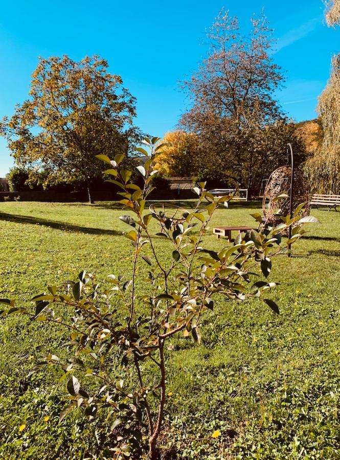 Pool House-L'Hirondelle De Sermizelles- Grand Jardin, Calme Et Nature Aux Portes Du Morvan别墅 外观 照片