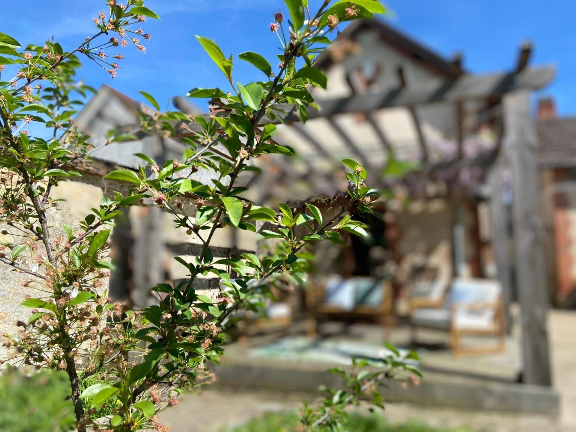 Pool House-L'Hirondelle De Sermizelles- Grand Jardin, Calme Et Nature Aux Portes Du Morvan别墅 外观 照片